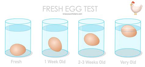 drop egg test|why is egg drops difficult.